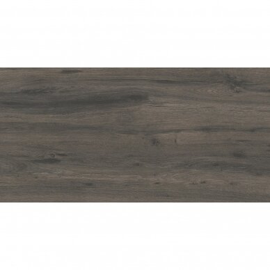 Terasinė plytelė Patio Ash 90x45x2 cm 1m2